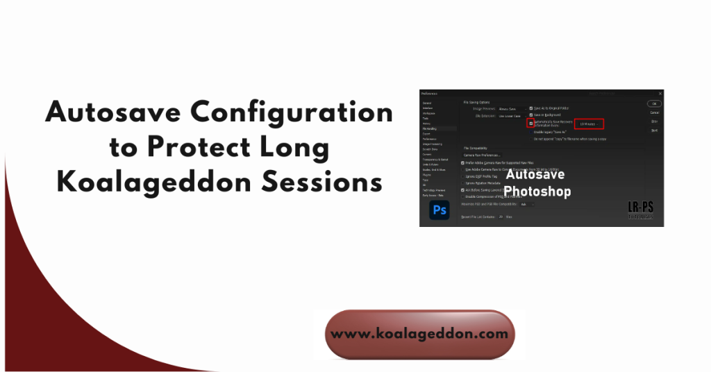 Autosave Configuration to Protect Long Koalageddon Sessions